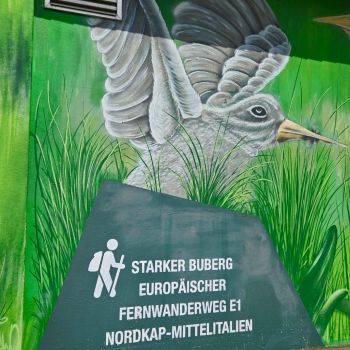 bild329